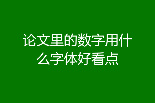 论文里的数字用什么字体好看点
