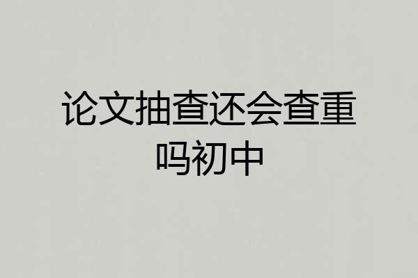 论文抽查还会查重吗初中