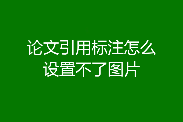 论文引用标注怎么设置不了图片