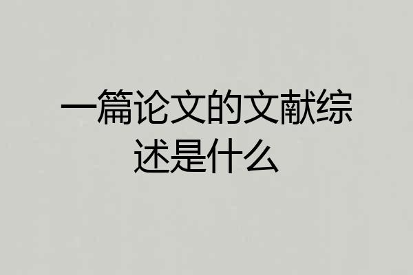 一篇论文的文献综述是什么