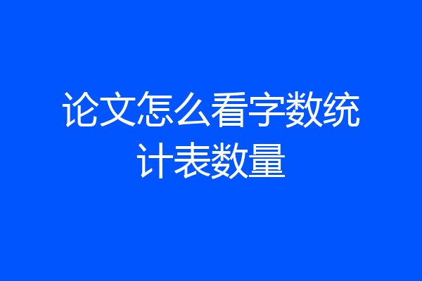 论文怎么看字数统计表数量