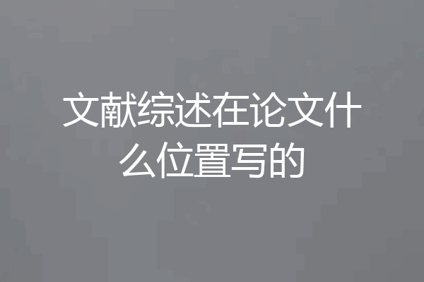 文献综述在论文什么位置写的