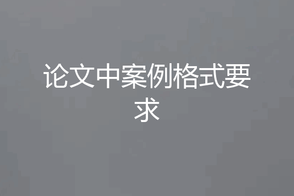 论文中案例格式要求