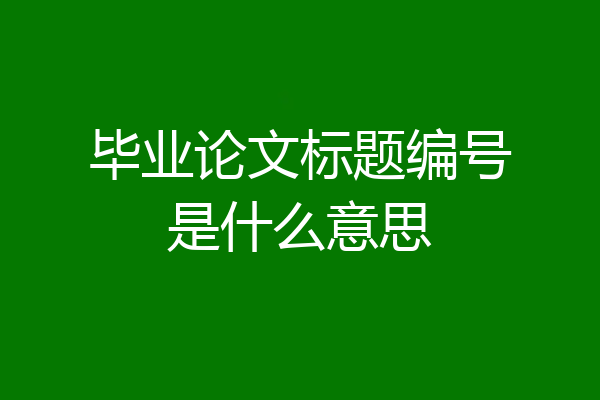 毕业论文标题编号是什么意思