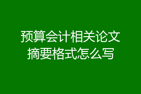 预算会计相关论文摘要格式怎么写