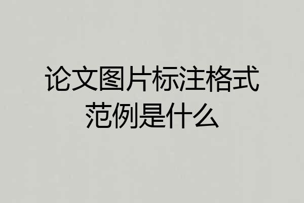 论文图片标注格式范例是什么