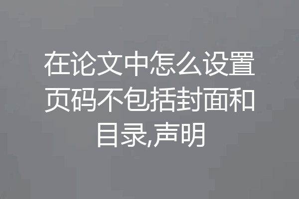 在论文中怎么设置页码不包括封面和目录,声明