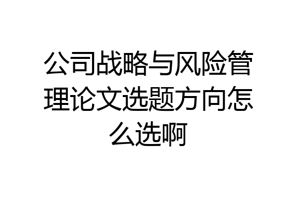 公司战略与风险管理论文选题方向怎么选啊
