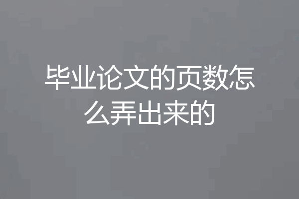 毕业论文的页数怎么弄出来的