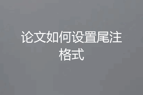 论文如何设置尾注格式