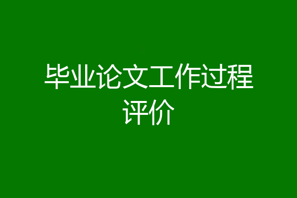毕业论文工作过程评价