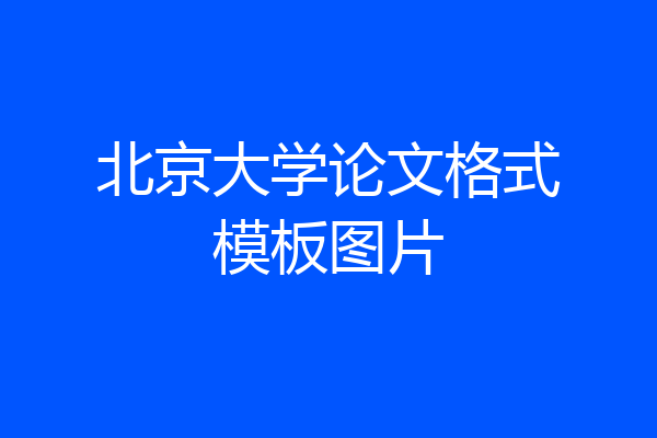 北京大学论文格式模板图片