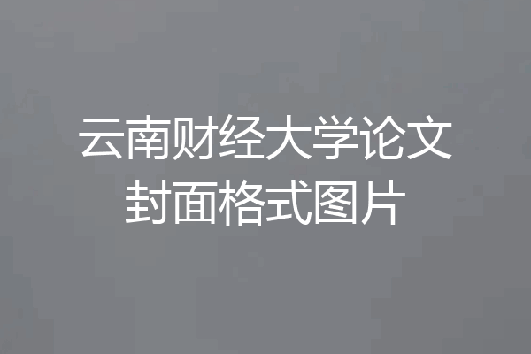 云南财经大学论文封面格式图片