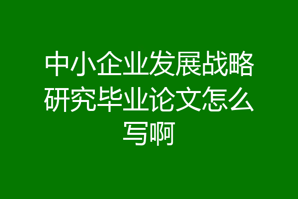 中小企业发展战略研究毕业论文怎么写啊