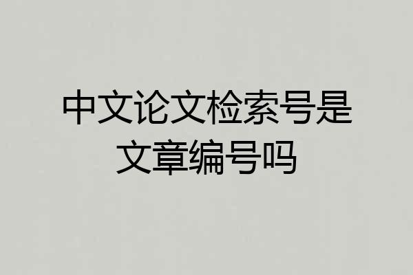 中文论文检索号是文章编号吗