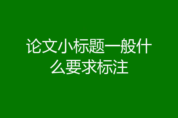 论文小标题一般什么要求标注