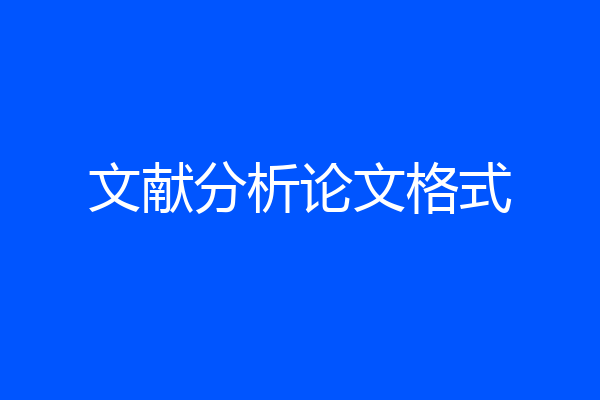 文献分析论文格式