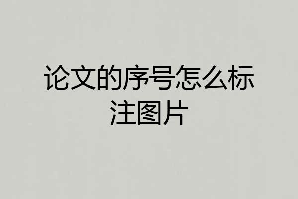 论文的序号怎么标注图片