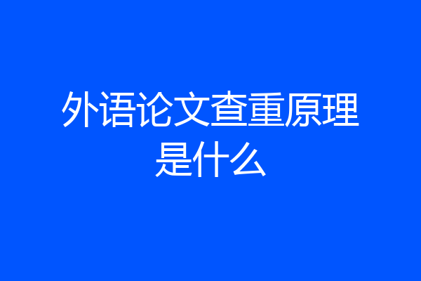 外语论文查重原理是什么