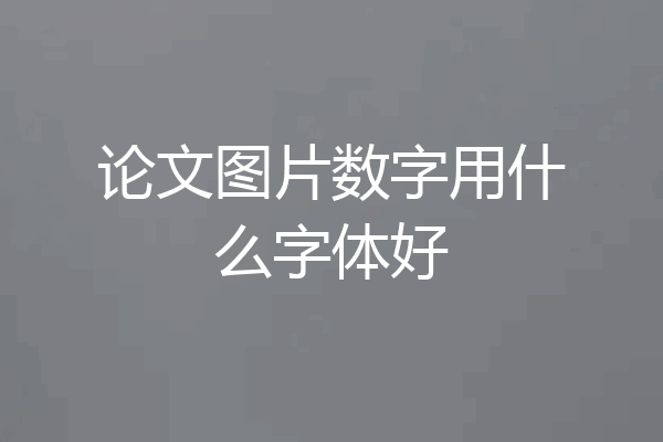论文图片数字用什么字体好