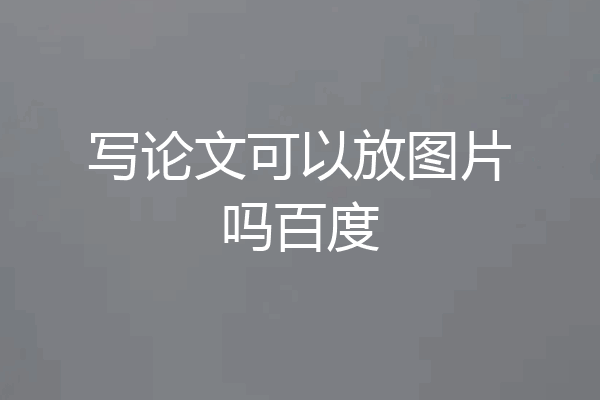 写论文可以放图片吗百度