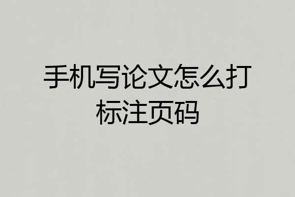 手机写论文怎么打标注页码
