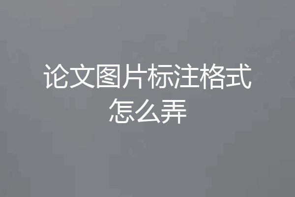 论文图片标注格式怎么弄