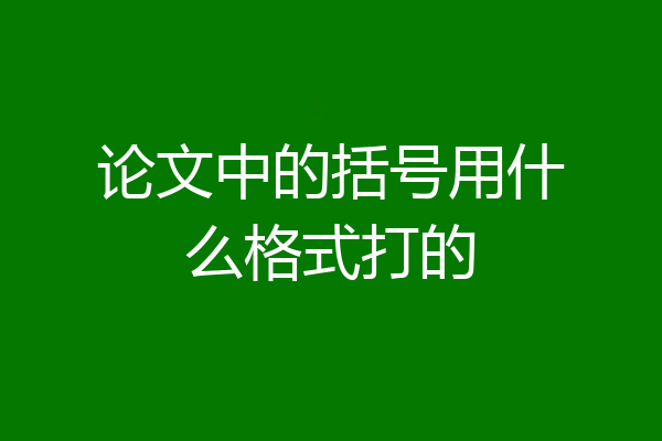 论文中的括号用什么格式打的