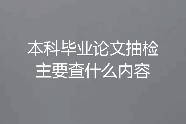 本科毕业论文抽检主要查什么内容
