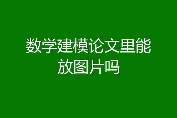 数学建模论文里能放图片吗