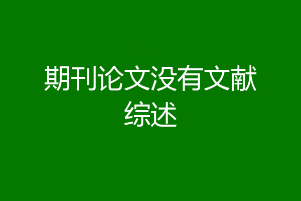 期刊论文没有文献综述