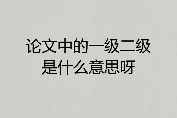 论文中的一级二级是什么意思呀