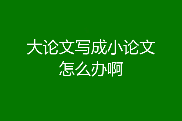 大论文写成小论文怎么办啊
