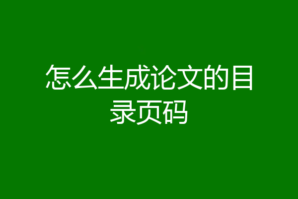 怎么生成论文的目录页码