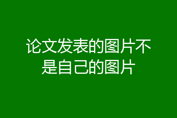 论文发表的图片不是自己的图片