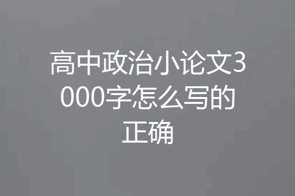 高中政治小论文3000字怎么写的正确