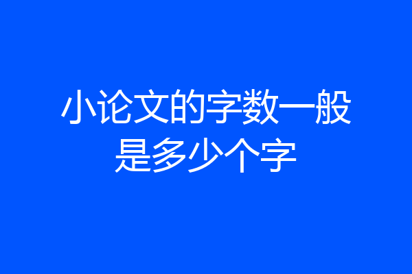 小论文的字数一般是多少个字
