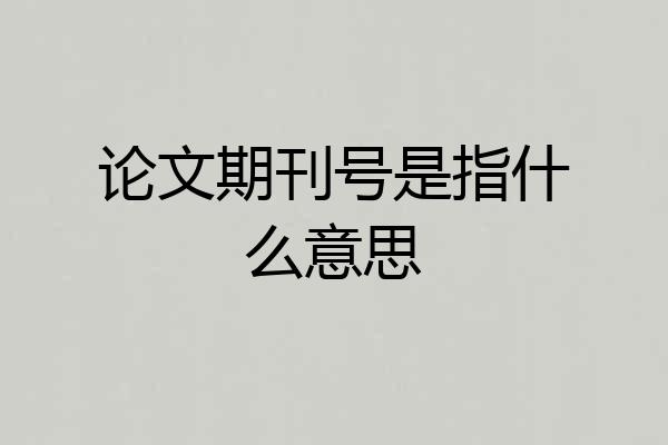 论文期刊号是指什么意思