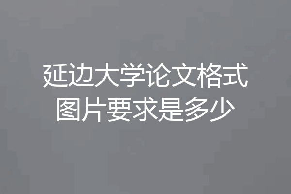 延边大学论文格式图片要求是多少