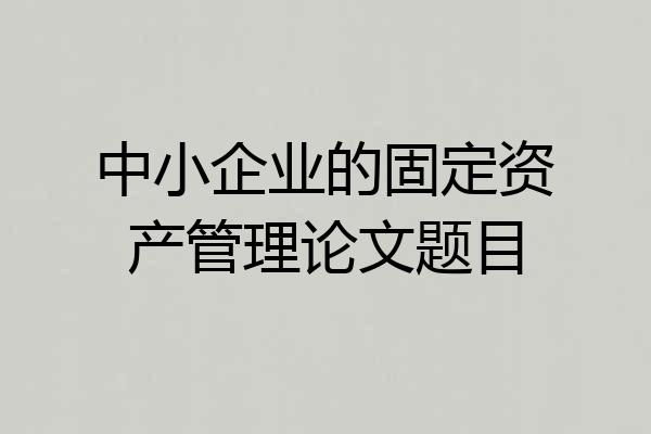 中小企业的固定资产管理论文题目