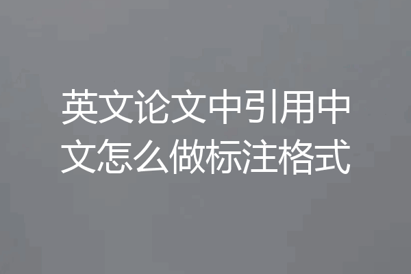 英文论文中引用中文怎么做标注格式