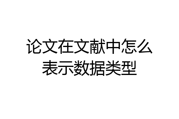 论文在文献中怎么表示数据类型