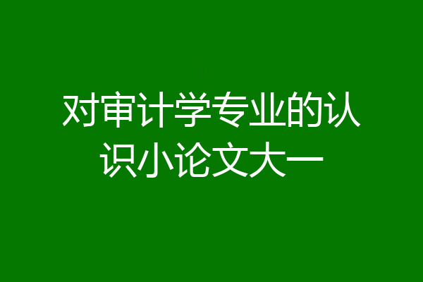 对审计学专业的认识小论文大一
