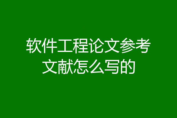软件工程论文参考文献怎么写的