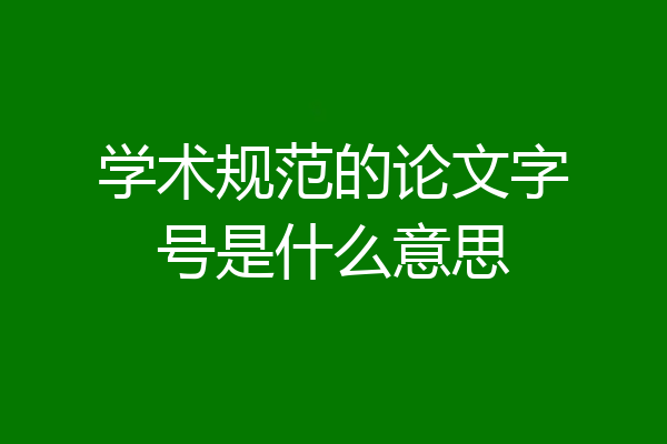 学术规范的论文字号是什么意思