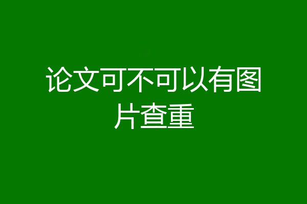 论文可不可以有图片查重