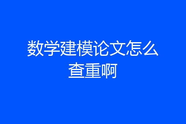 数学建模论文怎么查重啊