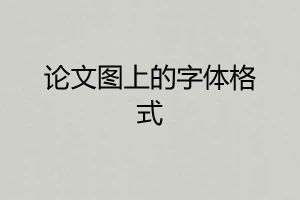 论文图上的字体格式