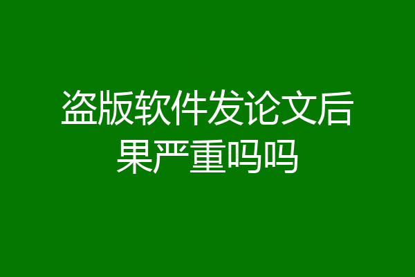 盗版软件发论文后果严重吗吗