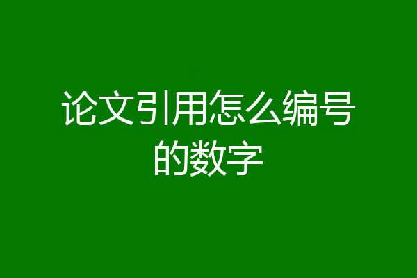 论文引用怎么编号的数字
